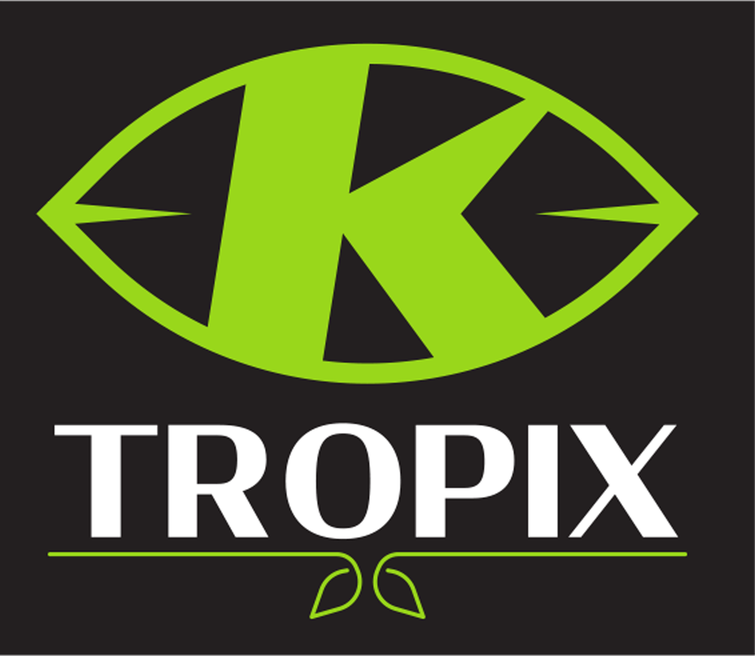 $K-Tropix - Konnexion 2024